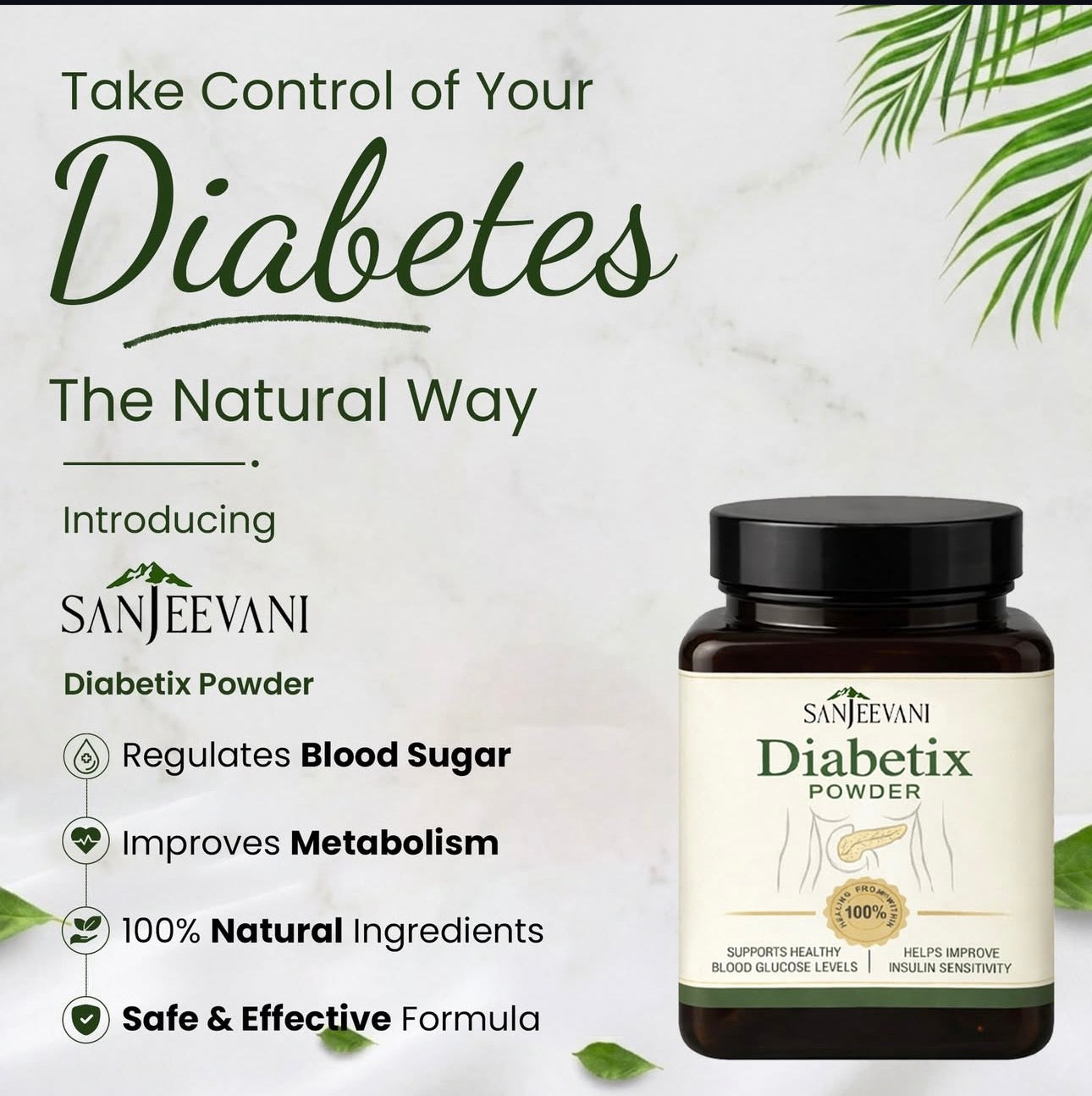 Sanjeevani Diabetic Powder